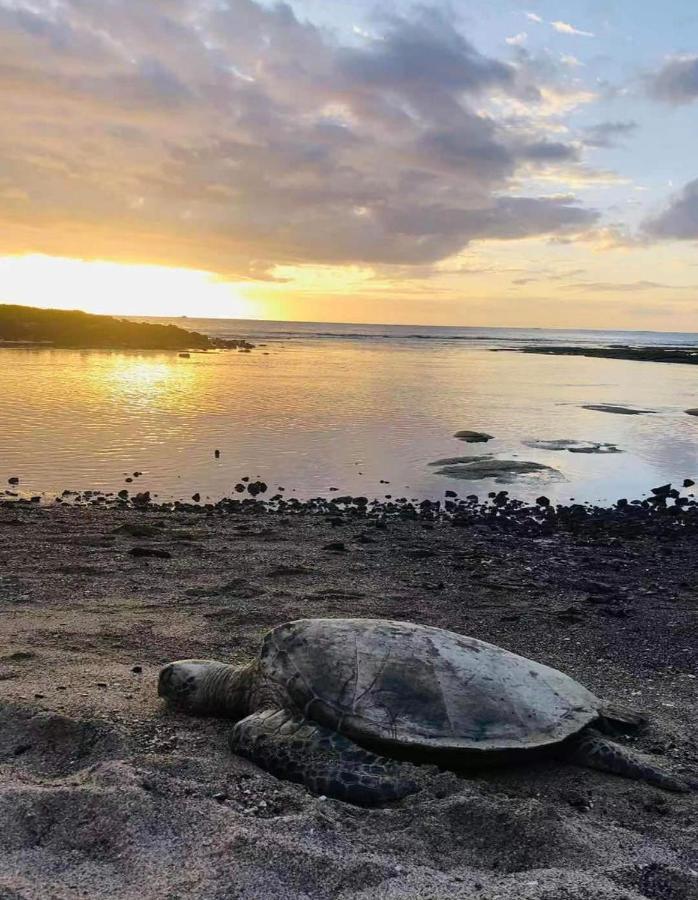 Alii Villas Condominiums カイルア・コナ エクステリア 写真